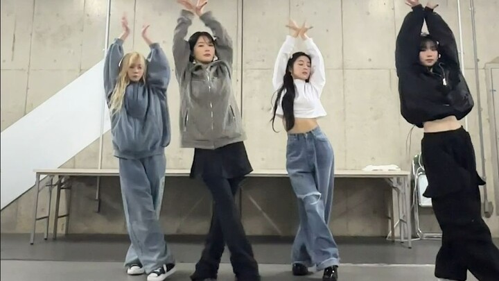 【المخمل الأحمر】🐶🐻🐰😻