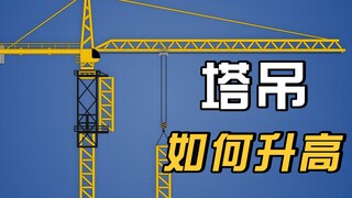 Bagaimana cara naiknya tower crane setinggi 100 meter? Bagaimana cara pengemudinya naik? Akhirnya sa