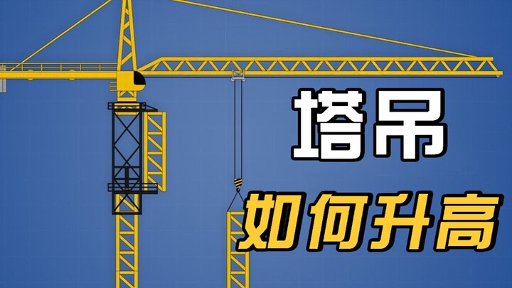 Làm thế nào để nâng một cần cẩu tháp cao 100 mét? Người lái xe lên xe như thế nào? Cuối cùng tôi cũn