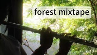Forest mixtape｜且坐等春树不做回头鸟