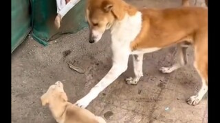 Mẹ này đánh không lại