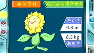 オーキド博士のポケモン講座(キマワリ)