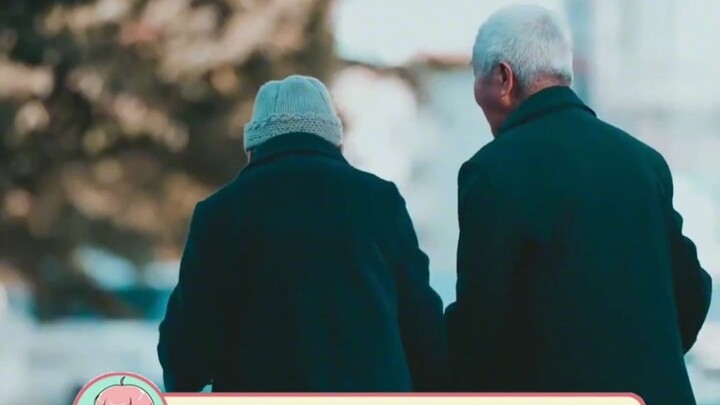 Vợ chồng già chỉ cần có nhau là được, không phân biệt nam hay nữ #Tình yêu tuổi xế chiều