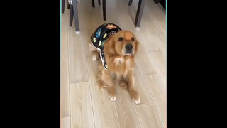 อยากลองเสียอาการบ้าง ทุกวันนี้มีแต่เสียสติ
