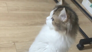 它往那一站就是兵