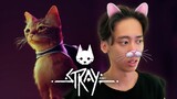 Mèo đi hia hay mèo đi here (Kenjumboy - Gaming day)