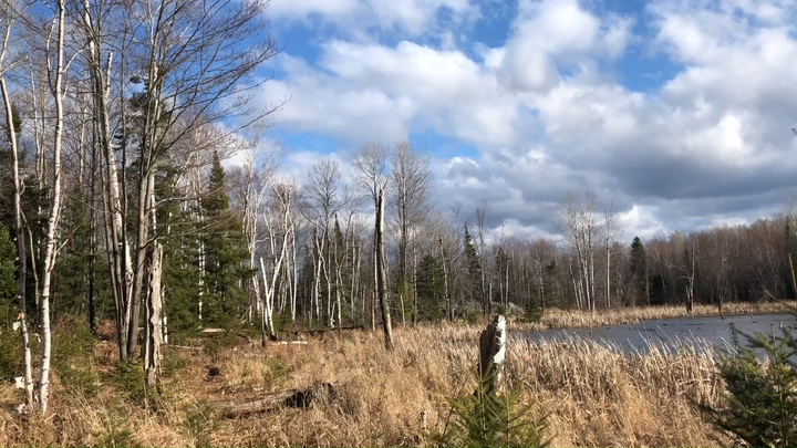 It's a Beautiful Day!