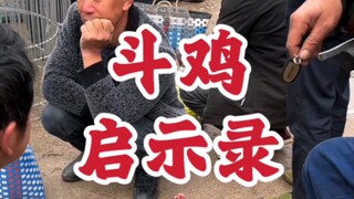 #斗鸡 #贵州美食 人生又何尝不是如此……