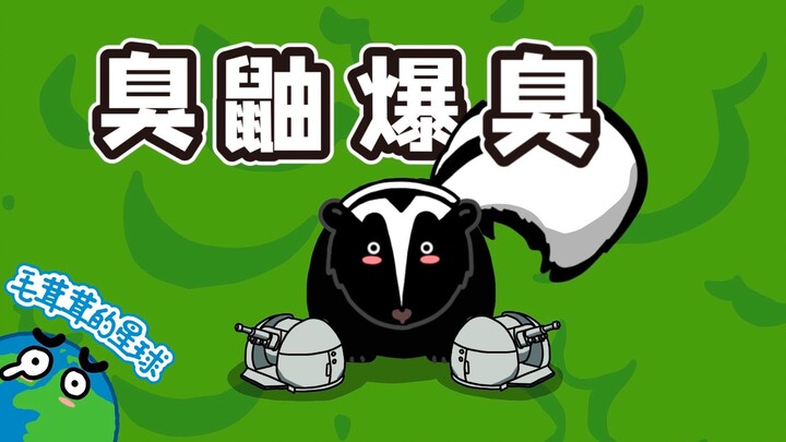 【النيص】 لماذا يقول البعض إن رائحة النيص عطرة؟