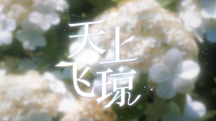 Humans and Flowers, Swaying Together to Captivate the World | To the Most Beautiful Encounter  ❀Fair