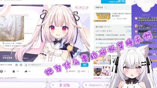 Japanese cat (white, small) comments on Japanese loli pajamas, very aggressive