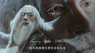 让他名垂青史的1945年，被打败的是他的爱人