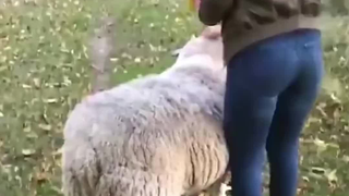 Who are you touching? Who are you flirting with?