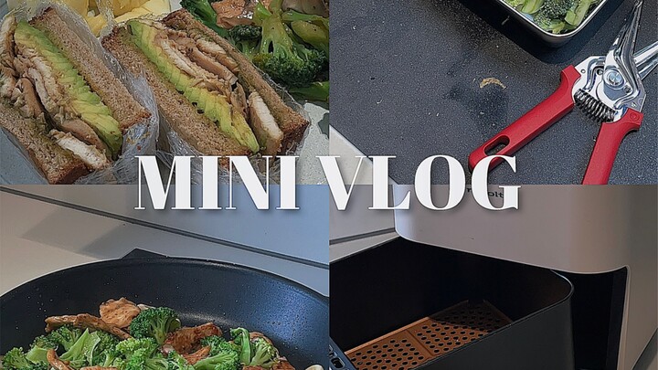 Vlog 🥦 Basil Sauce Black Pepper Chicken Breast Sandwich, Youyou Matcha, Pineapple