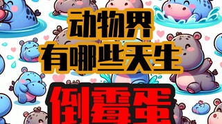 动物界有哪些天生倒霉蛋？