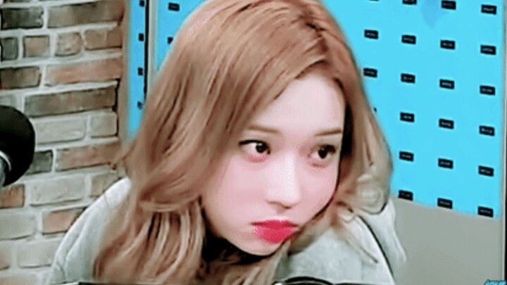 “เล่าเรื่องที่คุณเลือกฉันจากกองลูกสุนัขตัวน้อยอีกครั้งได้ไหม?”