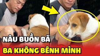 Nâu BUỒN BÃ vì Ba không BÊNH VỰC sau khi bị anh chị trêu ghẹo 😂 | Yêu Lu