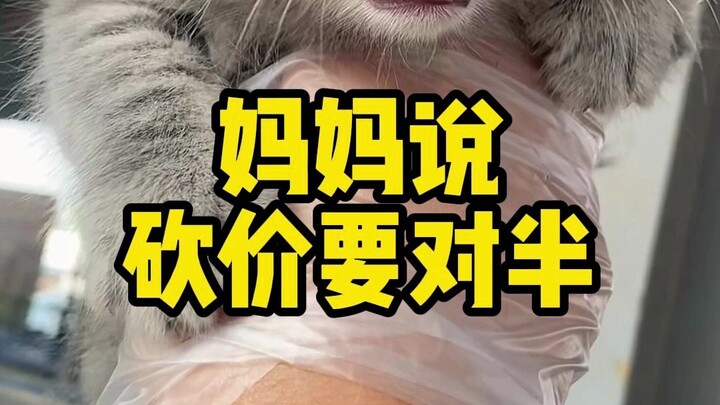 พวกคุณว่าราคานี้ตัดลงมาดีไหม?