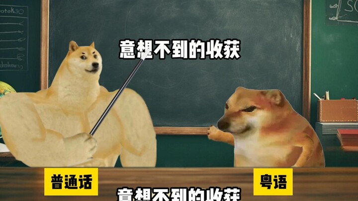 اللغة الصينية الفصحى مقابل لهجة كانتونية