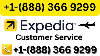 Full List of ™️ Priceline ™️ CUSTOMER® Contact Numbers – A Complete 2025 Guide