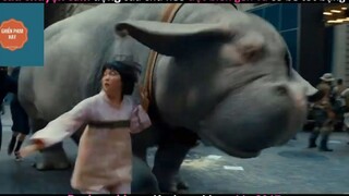 Siêu lợn (p1) #phimcuocsong