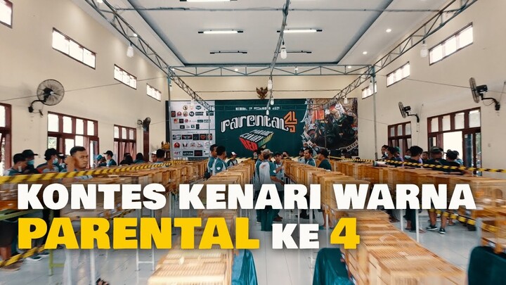 KIAN DI GEMARI , KONTES KENARI WARNA PARENTAL 4 SUKSES DI GELAR