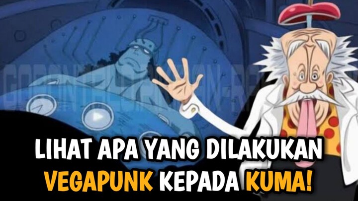 TERBONGKAR! VEGAPUNK LAKUKAN INI PADA KUMA SAAT TAK SADARKAN DIRI | ONE PIECE #bestofbest