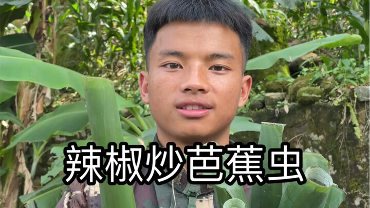 Orang tua saya sudah menanam pisang lebih dari sepuluh tahun! Dulu saya sering makan ulat pisang bua