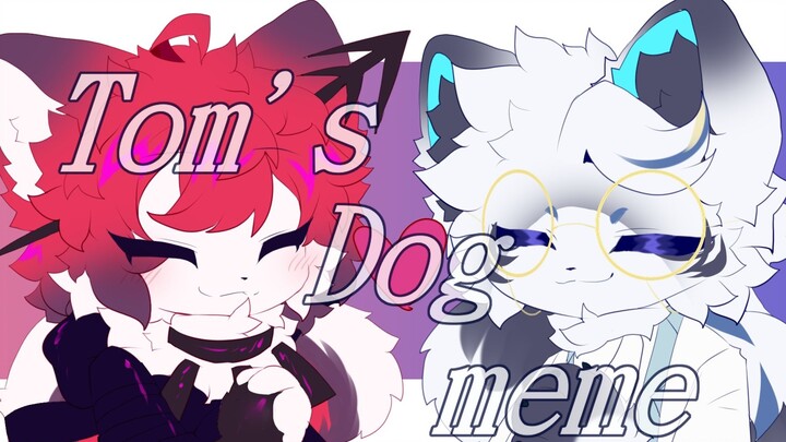 【meme】Tom's dog【Sute cp to】