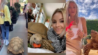 السلحفاة التي حصلت عليها هذه الفتاة وهي في السابعة من عمرها، عاشت معها ثمانية عشر عامًا. لنلقِ نظرة 
