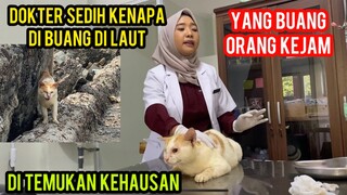 KUCING BUTA TERBUANG DI LAUT AKHIRNYA BISA BEROBAT KE DOKTER..!