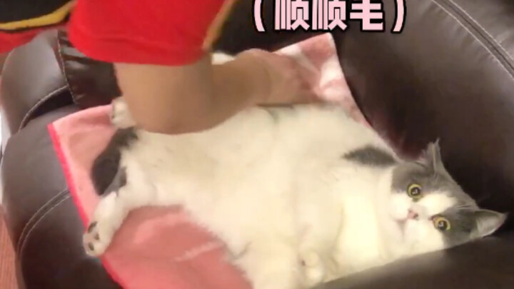 My Mom’s Bedtime Moments with the Cat