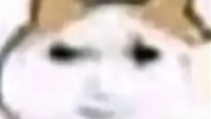 Gu Zhenren Cat Four-panel Comic