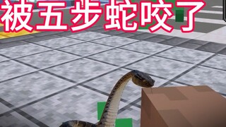 ماذا تفعل إذا لدغتك أفعى الخمس خطوات؟