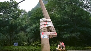 เสาโทรศัพท์หัวแข็ง [อ่านภาพยนตร์นับไม่ถ้วน 76]