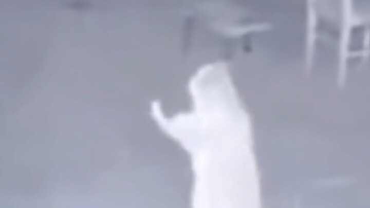 أين هناك قطة صغيرة لا تستمتع بالرقص ليلاً؟