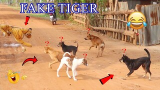 Fake tiger prank dog | Tiger prank on dog very Funny
