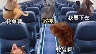 ศาสตราจารย์: ฉันรู้จักนักเรียนที่ฉันสอนเองดีเหลือเกิน