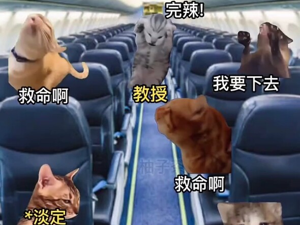 教授：我自己教的学生我可太了解了