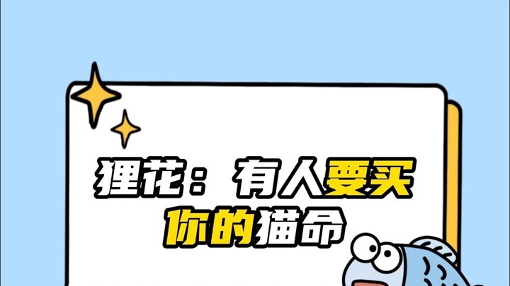 ลี่ฮวา: มีคนอยากซื้อชีวิตแมวของเธอ