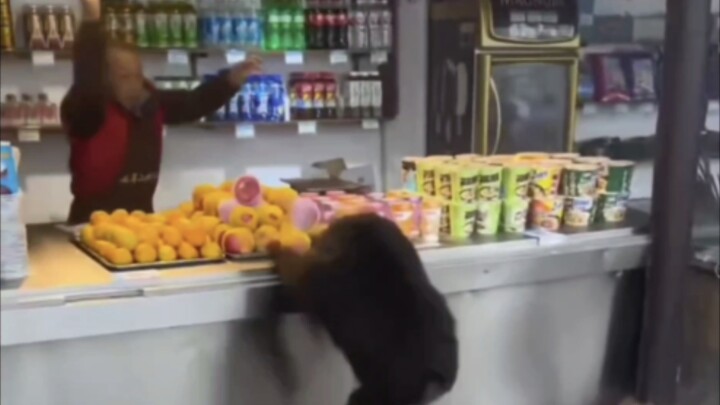 Emei Mountain monkeys’ “zero-yuan shopping” video has garnered nearly 200,000 likes on TikTok.
