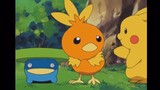 Torchic chú gà Hott nhất bảng pokemon cute