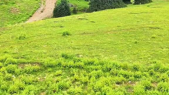 Waziristan is the beautiful place for tourism bacaus mostly people come here for tourism bacaus thei