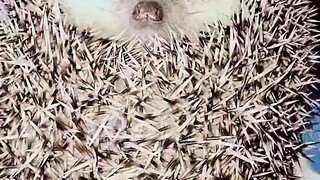你就这样卸下了防备？