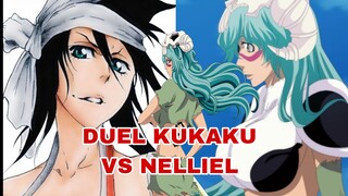 KUKAKU SHIBA VS NELLIEL