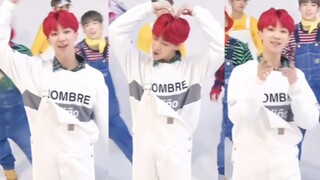 【Từ Minh Hạo】Bông gòn nhỏ đáng yêu và hoạt bát, đi ngang qua sẽ khen bạn ngay～