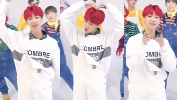 【徐明浩】活泼可爱小棉花，走过路过把你夸～