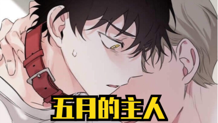【韩漫】“宠物的要求，主人要负责啊～”白切黑忠犬攻vs炸毛猫咪受！