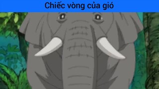 Chú voi dễ mến