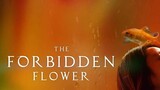 Forbidden Flower  Eps 2
